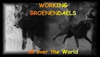 http://www.working-groenendaels.ch/
